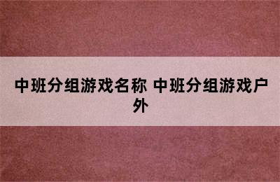 中班分组游戏名称 中班分组游戏户外